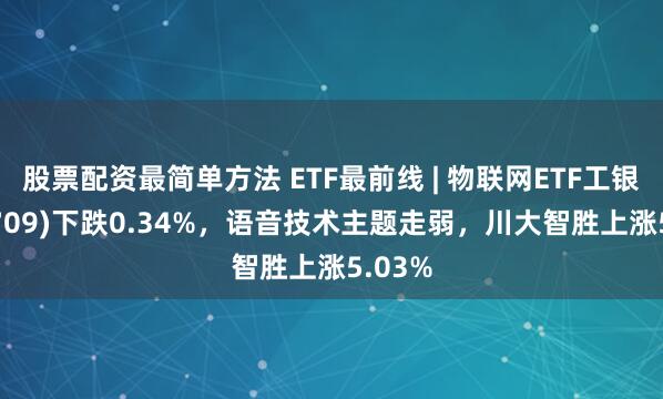 股票配资最简单方法 ETF最前线 | 物联网ETF工银(159709)下跌0.34%，语音技术主题走弱，川大智胜上涨5.03%