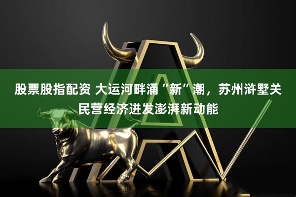 股票股指配资 大运河畔涌“新”潮，苏州浒墅关民营经济迸发澎湃新动能